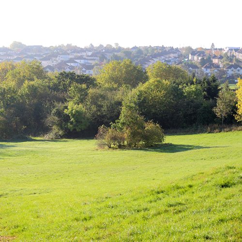 Large,Meadow,In,Knowle,,Callington,Road,Nature,Reserve,with,Bristol,City Bristol Meadow